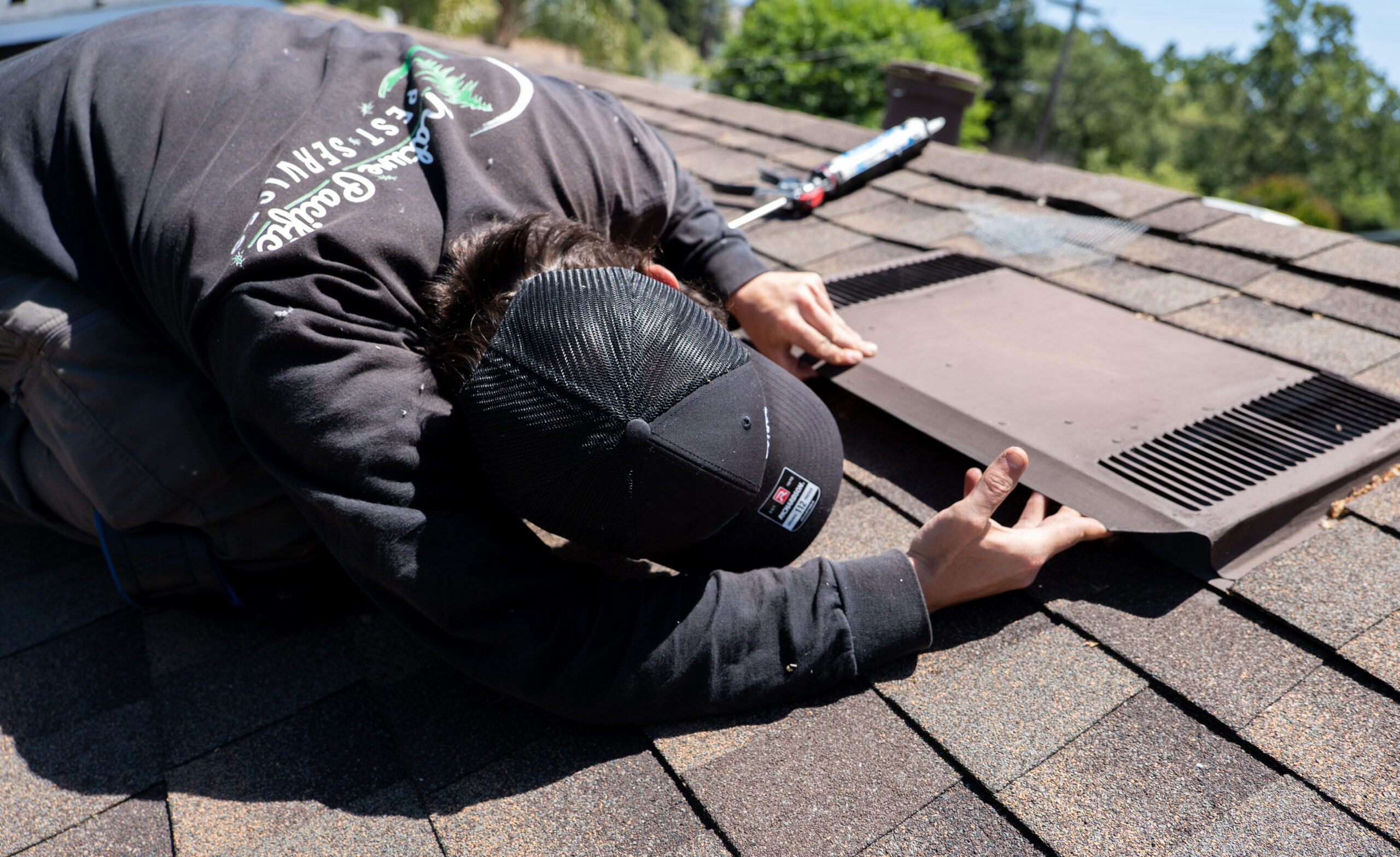 What to Expect During a Pest Inspection with Nature Pacific Pest Services