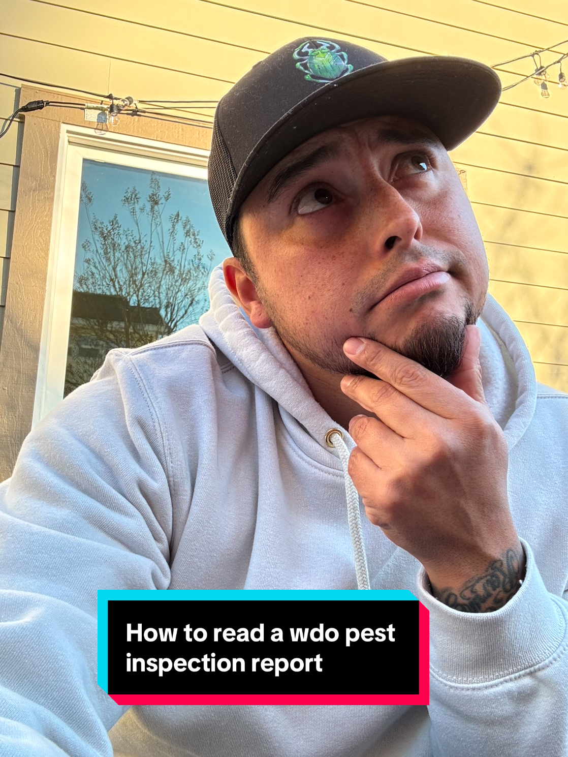 How to Read a WDO Pest Inspection