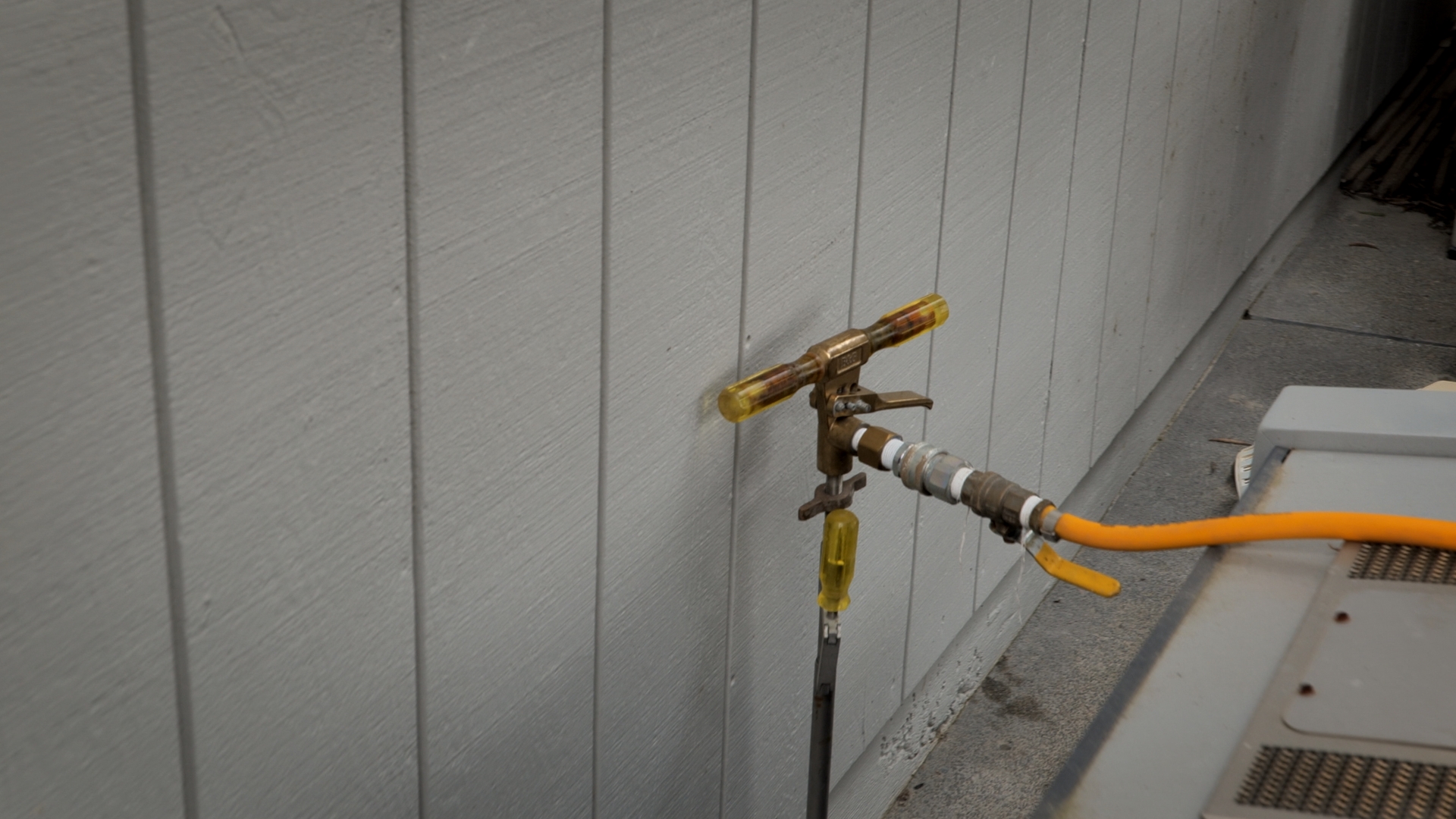 Rod Injections to get rid of pests.