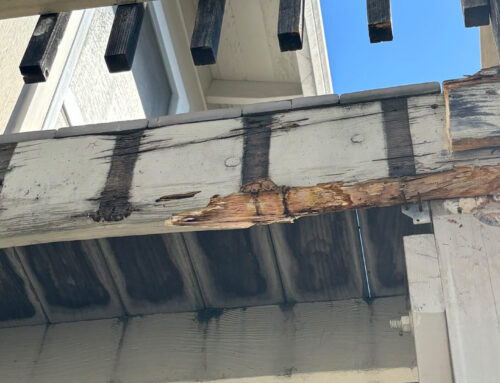 Dry Rot Repairs on Decks