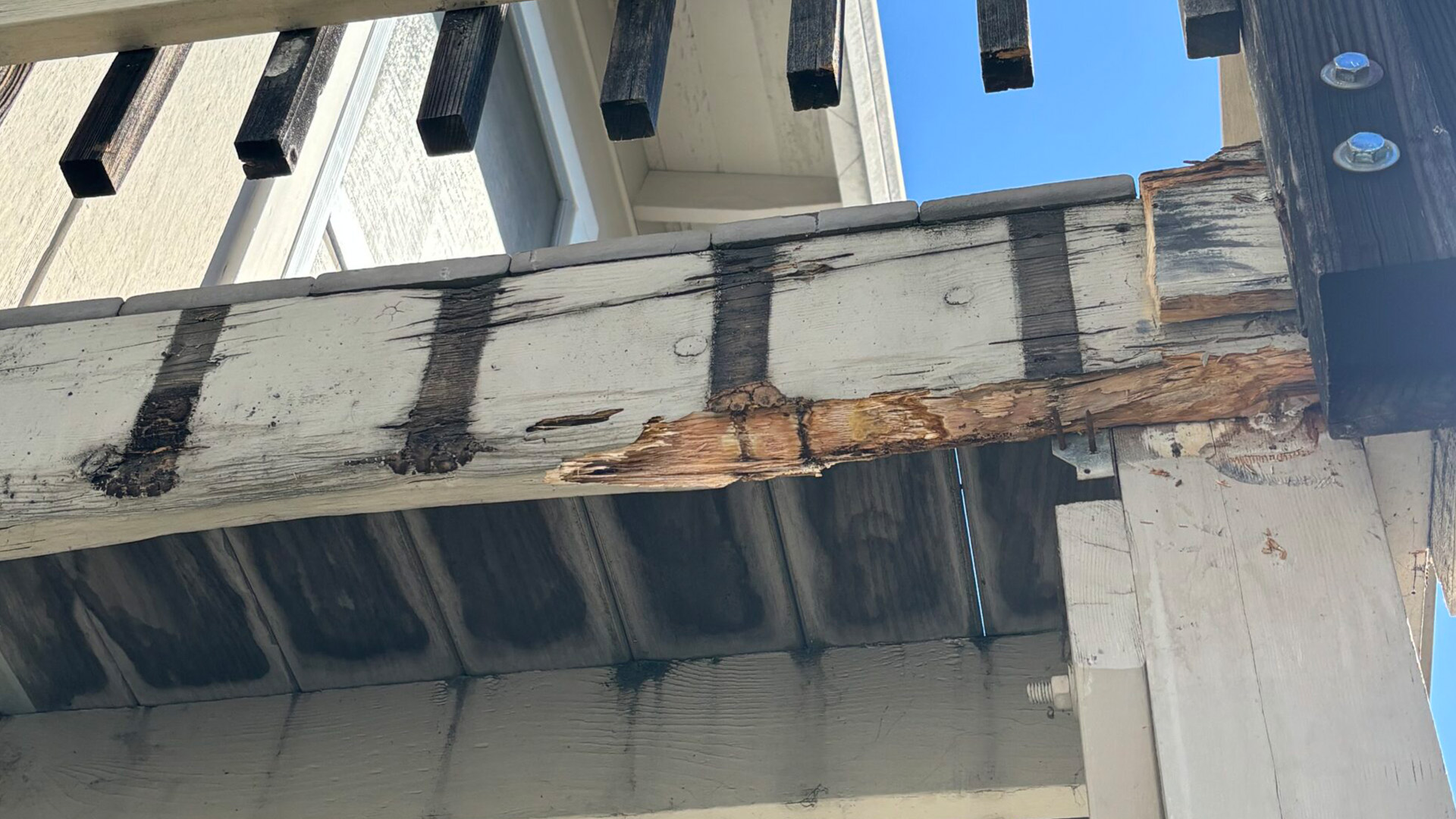 Dry Rot Repairs on Decks
