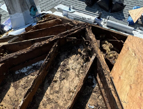 Rotten Roof Repair in Occidental by Nature Pacific Builders